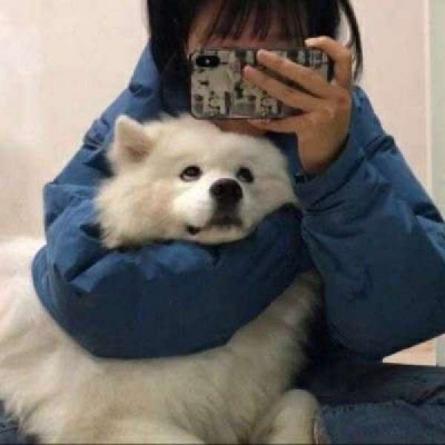 2025好看情侣头像