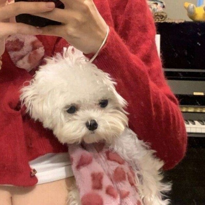 优质风格新年女头