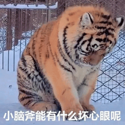 微信女生2025超火个性十足高清头像