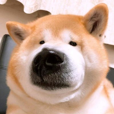 小众高清沙雕微信头像
