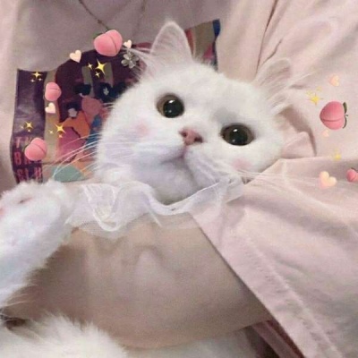 2025年最火可爱女生头像图片
