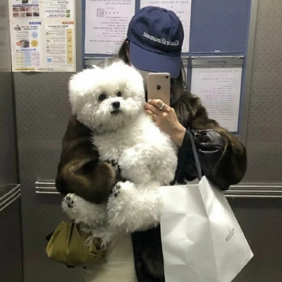 头像女生2025最火爆图片