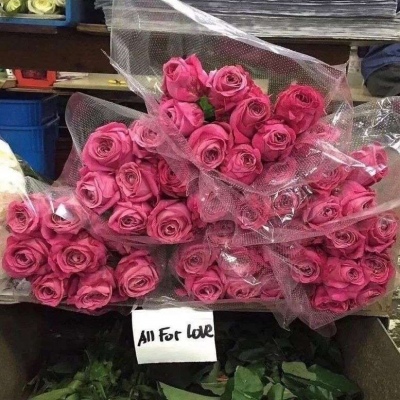 微信头像图片2025最新款花朵