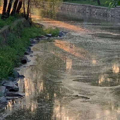 2026最火微信背景图丧系头像