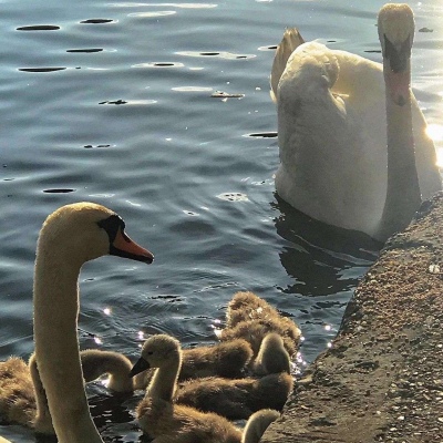 2026最火微信背景图丧系头像