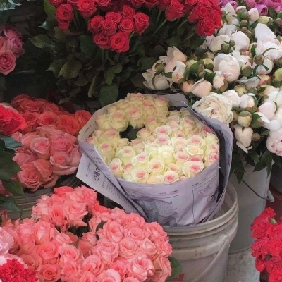 微信头像图片2025最新款花朵