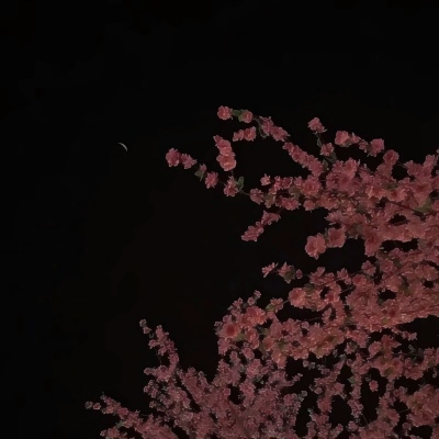 微信头像图片2025最新款花朵
