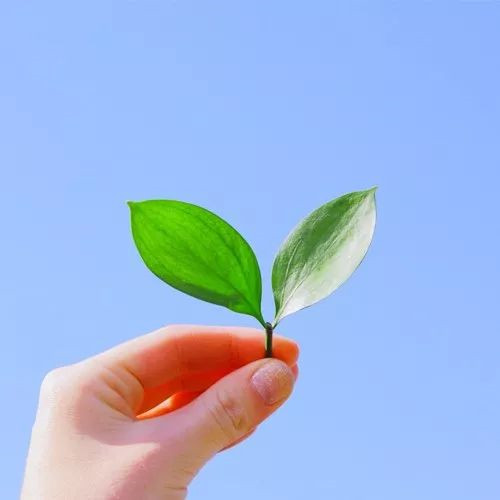 微信头像简约大方干净