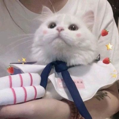 情侣风景头像唯美意境图片