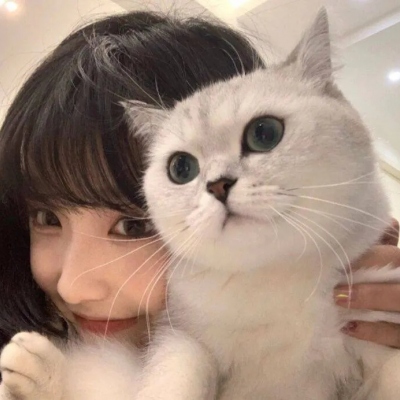 微信头像抱猫咪女生超甜图片