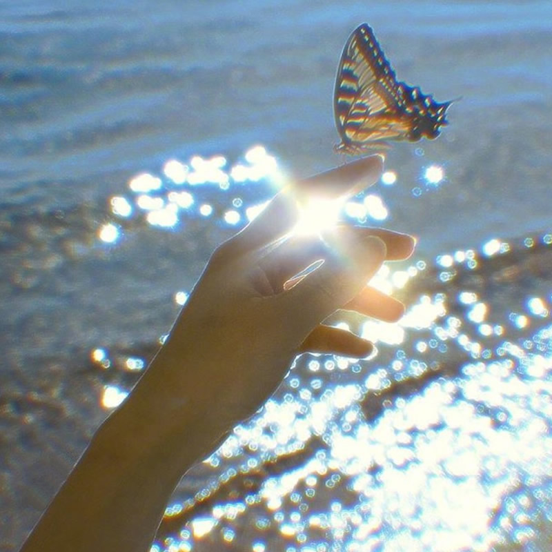 2025年最火爆图片高清头像