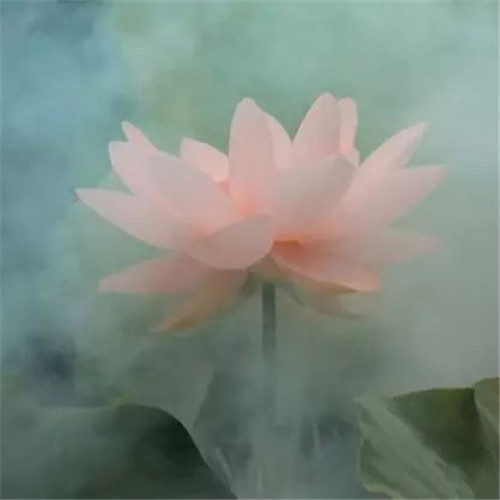 微信头像简约大方干净