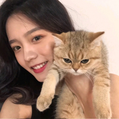 微信头像抱猫咪女生超甜图片