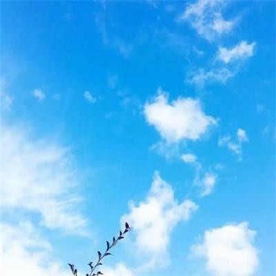 2025微信顺利吉祥的图片头像