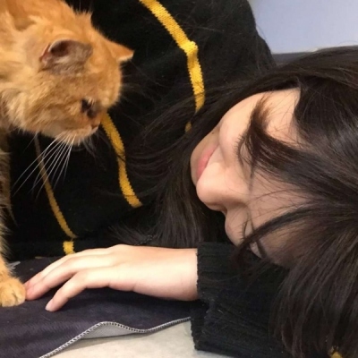 微信头像抱猫咪女生超甜图片