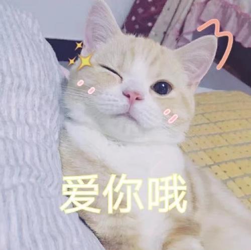 可爱萌萌哒爱你哟表情头像图片