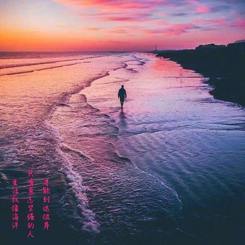 充满阳光正能量的图片头像