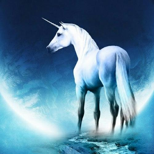 充满阳光正能量的图片头像