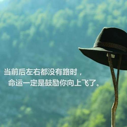 充满阳光正能量的图片头像