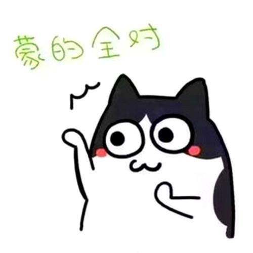考试专用玄学头像