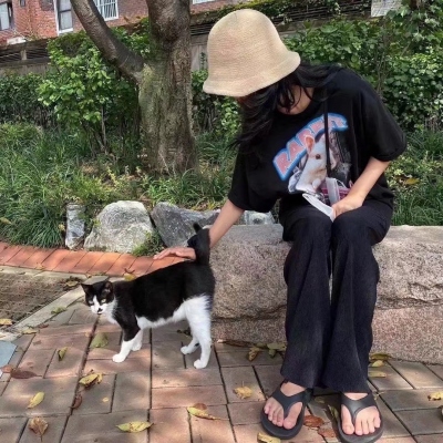 女头网图网恋专用