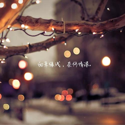 高级伤感内心孤独高清微信头像