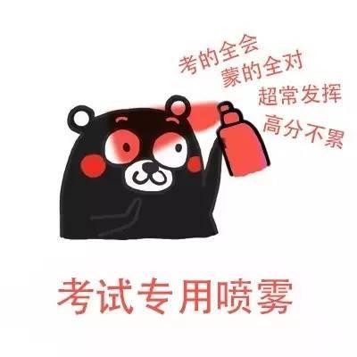考试专用玄学头像