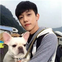 男生头像宠物系列