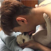 男生头像宠物系列