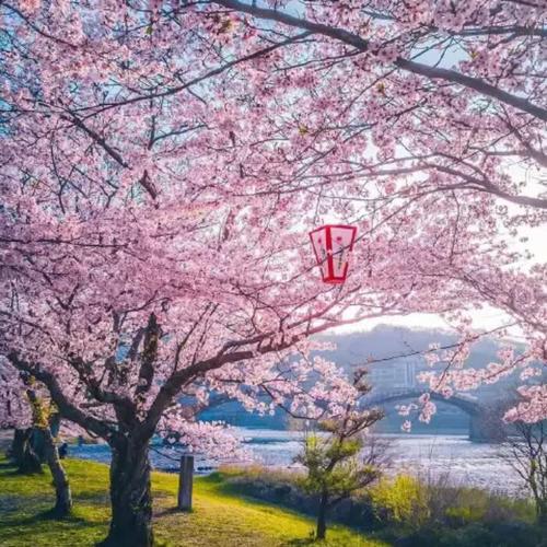 2025最美风景头像图片