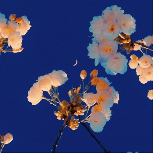 图片2025新图片微信头像