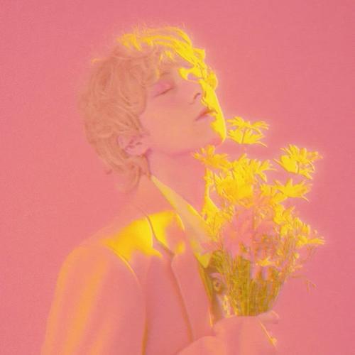 适合永久做头像的图片