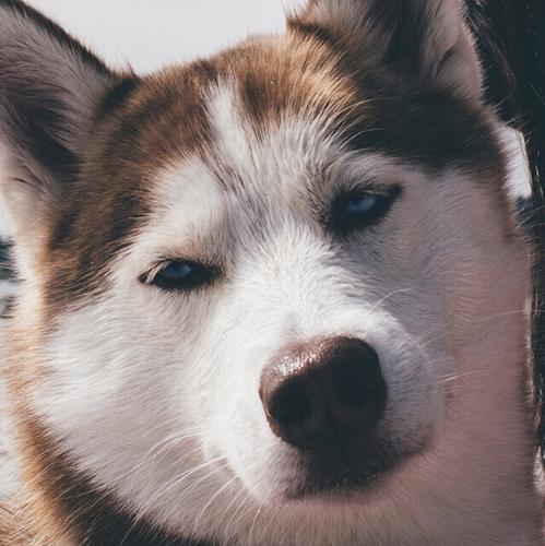 治愈心情开心高兴头像