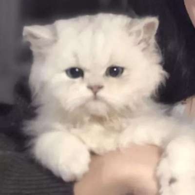 情侣头像真人情头可爱