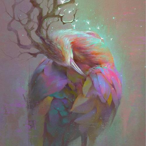 图片2025新图片微信头像