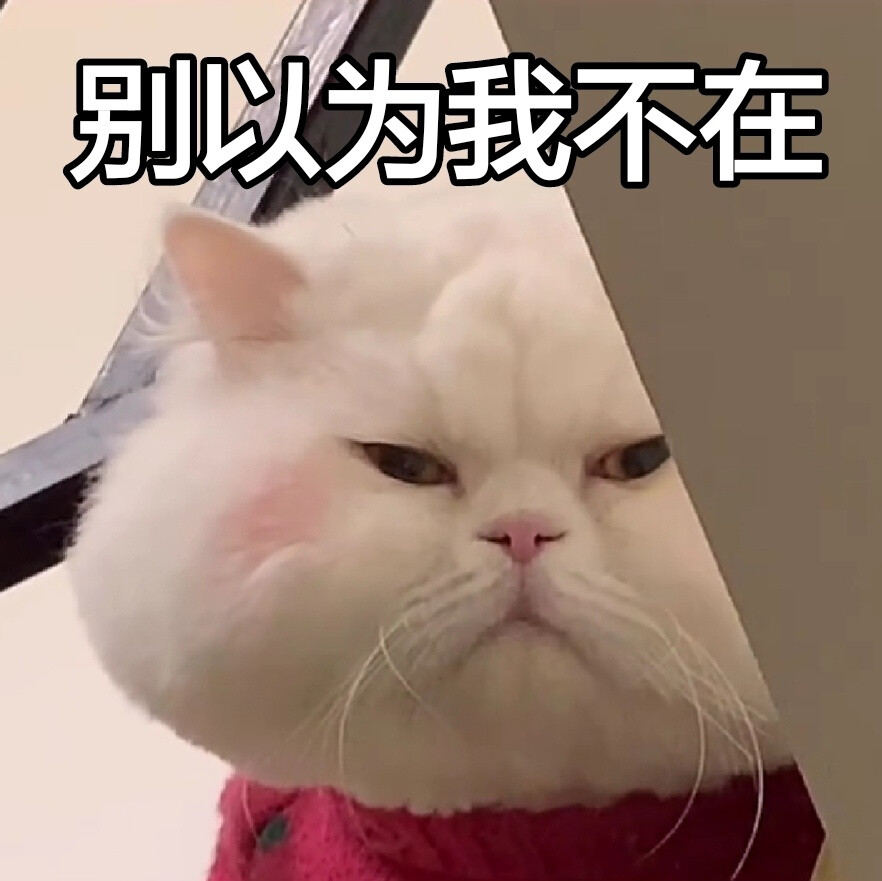 沙雕头像可爱呆萌