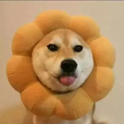 看上去特别沙雕的头像