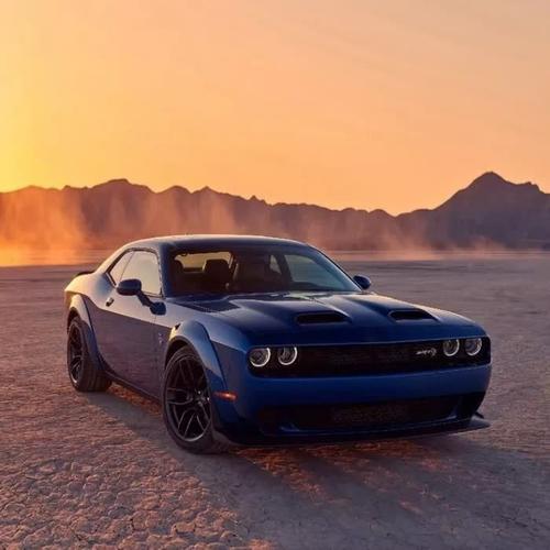 适合永久做头像的图片