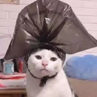 看上去特别沙雕的头像