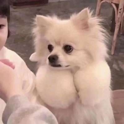 情侣头像真人情头可爱