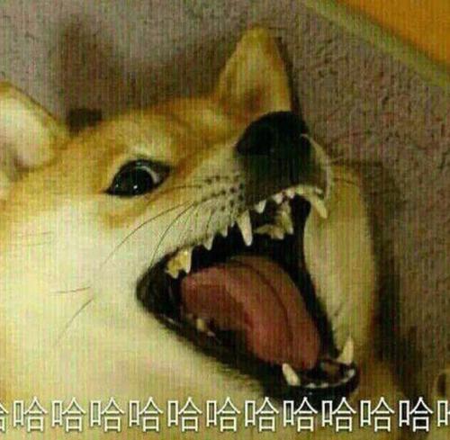 治愈心情开心高兴头像