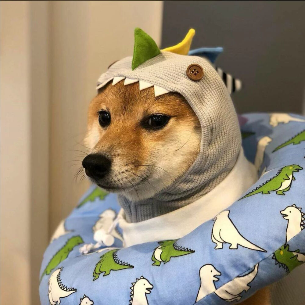 沙雕头像可爱呆萌