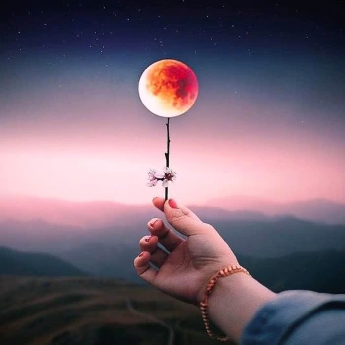 适合永久做头像的图片