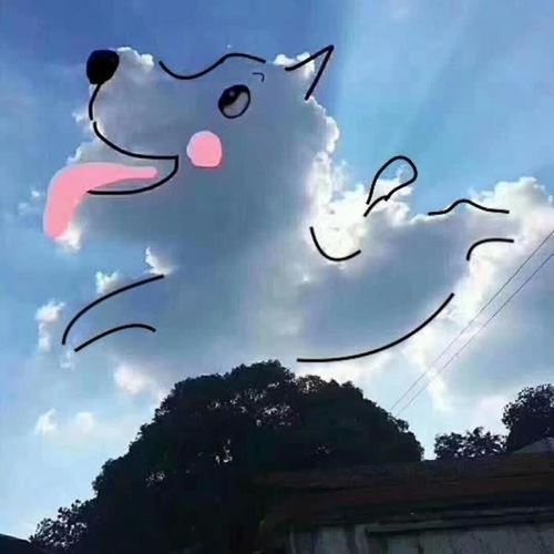 沙雕头像可爱呆萌