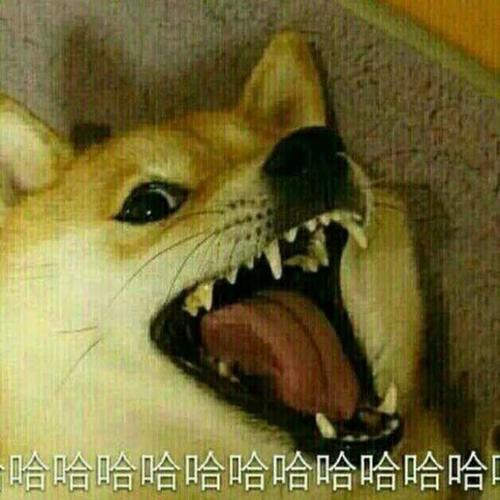 沙雕头像可爱呆萌