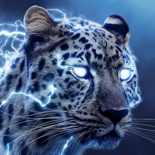 适合永久做头像的图片