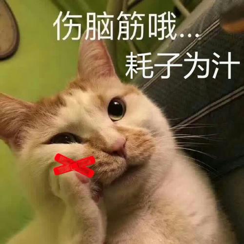 沙雕头像可爱呆萌