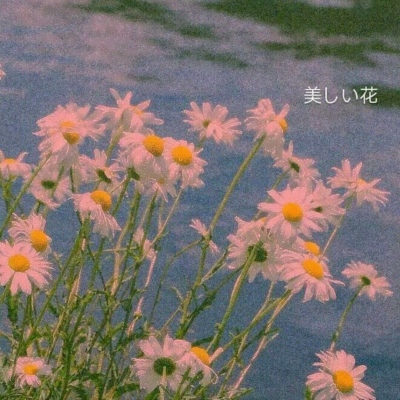 头像图片风景2025最火爆