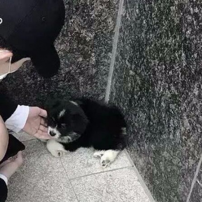 女朋友不是人系列情侣头像