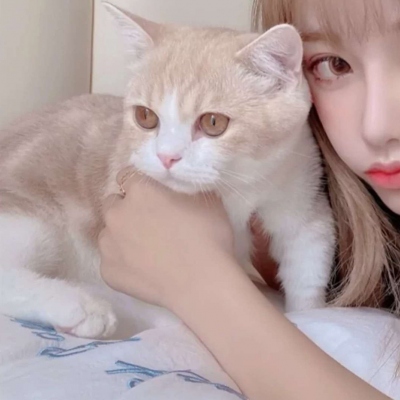 女生带猫咪情头